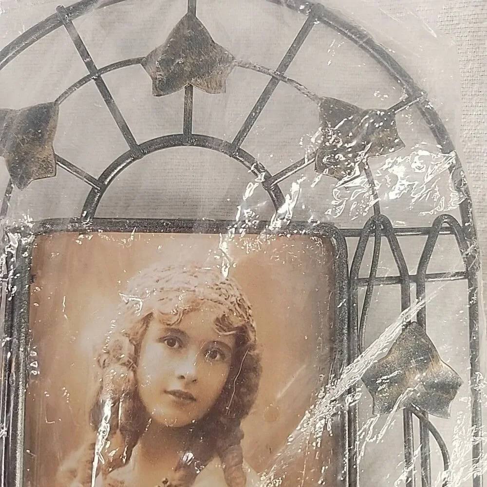 Picture Frame Metal Photo 3 1/2' X 5